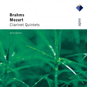 Berlin Soloists Clarinet Quintet in B Minor, Op. 115: I. Allegro