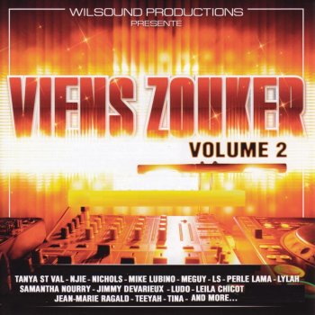 DJ Wilson Viens zouker (interlude) [Mix DJ Wilson]