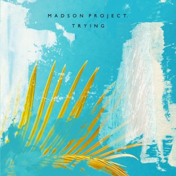Madson Project. Trying