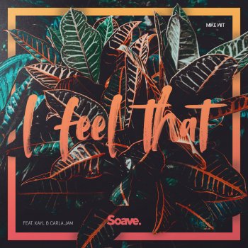 Mike Wit feat. Kayl & Carla Jam I Feel That