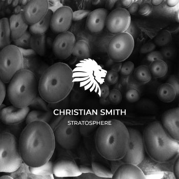 Christian Smith feat. Gary Beck Stratosphere - Gary Beck Dub Mix