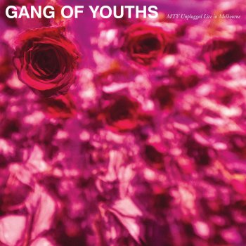 Gang of Youths Do Not Let Your Spirit Wane (Live)