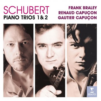 Franz Schubert feat. Renaud Capuçon/Gautier Capuçon/Frank Braley Trio for Piano, Violin & Cello No.1 in Bb Major, Op.99 D898: Andante un poco mosso