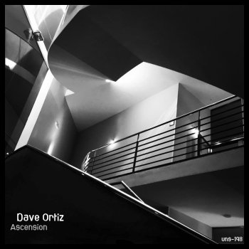 Dave Ortiz Black Silk