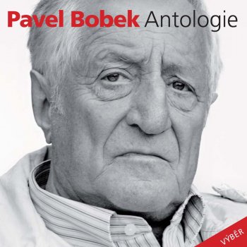 Pavel Bobek Houston