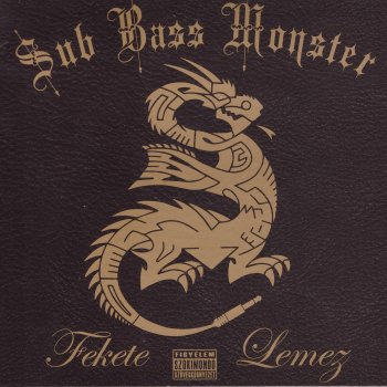 Sub Bass Monster Két lemezjátszó és egy mikrofon
