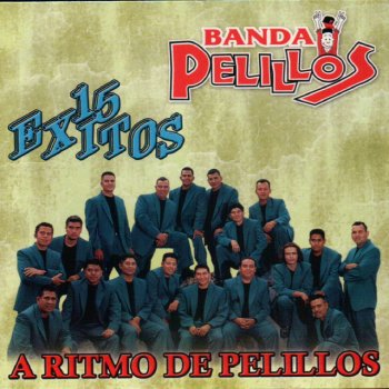 Banda Pelillos Amor Callado