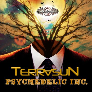 Terrasun Psychedelic Inc
