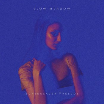 Slow Meadow Screensaver Prelude