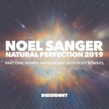 Noel Sanger feat. Seth Vogt Natural Perfection - Seth Vogt Remix