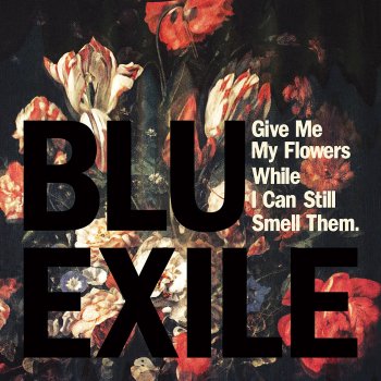 Blu & Exile feat. Jasmine Mitchell More Out of Life