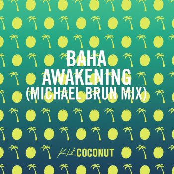 Baha Awakening (Michael Brun Mix)