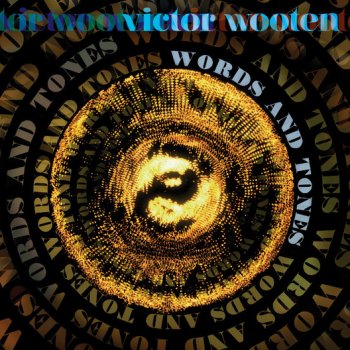 Victor Wooten I Can't Make You Love Me