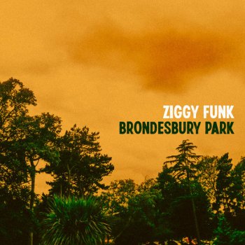 Ziggy Funk Brondesbury Park