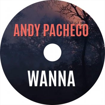 Andy Pacheco Wanna