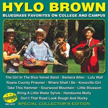 Hylo Brown Handsome Molly