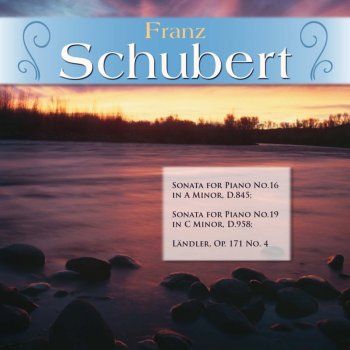 Franz Schubert feat. Walter Klien;Franz Schubert Sonata for Piano No.19 in C Minor, D.958: II. Adagio