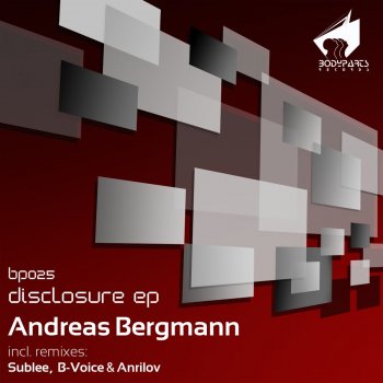 Andreas Bergmann Disclosure
