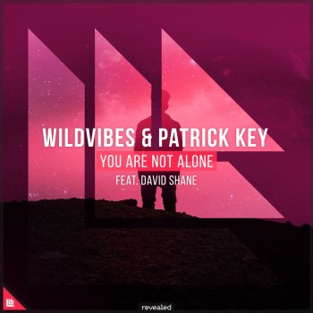 WildVibes feat. Patrick Key, Revealed Recordings & David Shane You Are Not Alone
