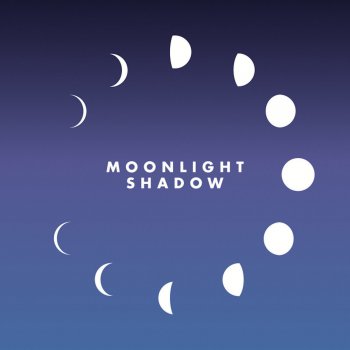 Mr Moonlight Shadow (Vendetta Remix Radio Edit)