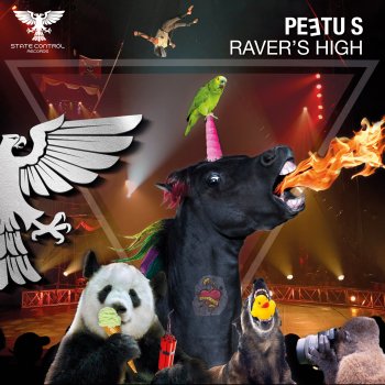 Peetu S Raver's High (Extended Mix)