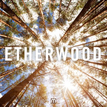 Etherwood We Are Ever Changing