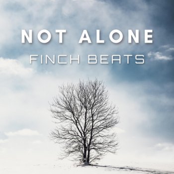 Finch Beats Not Alone (Instrumental)