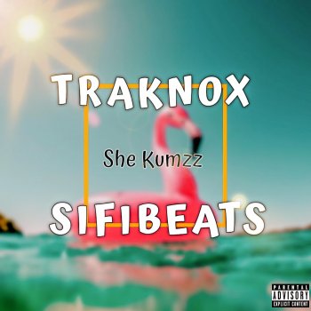 Traknox She Kumzz (feat. Sifi Beats)