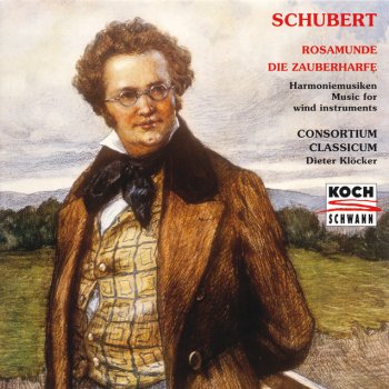 Franz Schubert feat. Consortium Classicum Die Zauberharfe, D.644: Chorus of the troubadours and knights - Song of Palmerin