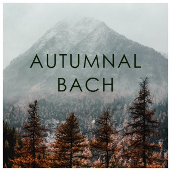 Johann Sebastian Bach feat. Walter Gieseking Partita No.4 In D Major, BWV 828: 6. Menuet