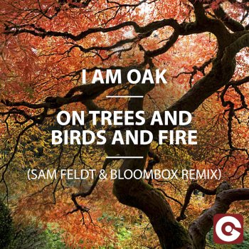 I Am Oak On Trees And Birds And Fire (Sam Feldt & Bloombox Remix)