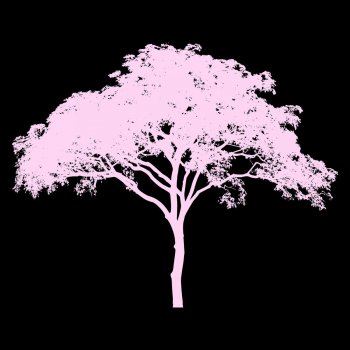 Young Lungs feat. Cian P Pink Tree