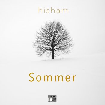 Hisham Sommer