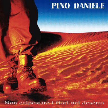 Pino Daniele 'O Cammello 'Nnammurato