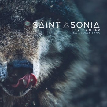Saint Asonia feat. Sully Erna The Hunted