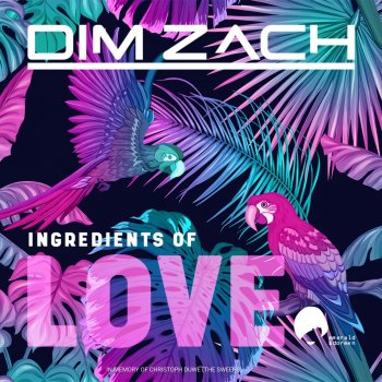 Dim Zach feat. Jerry Bouthier Ingredients of Love - Jerry Bouthier Mix