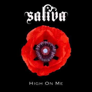 Saliva High on Me
