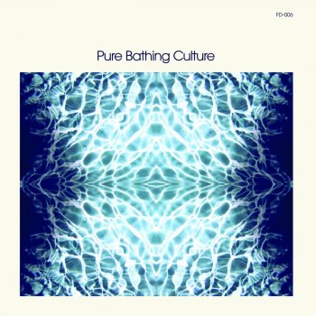 Pure Bathing Culture Silver Shore's Lake