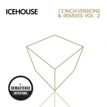 ICEHOUSE Shakin' the Cage - Techno - Remastered