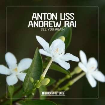 Anton Liss feat. Andrew Rai See You Again - Original Club Mix