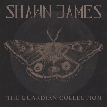 Shawn James The Curse of The Fold - Acoustic
