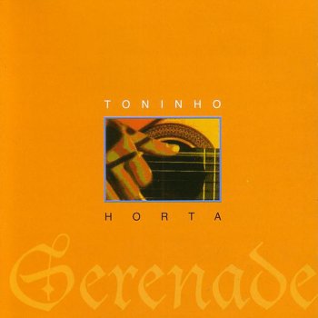 Toninho Horta Soccer Ball (Live)