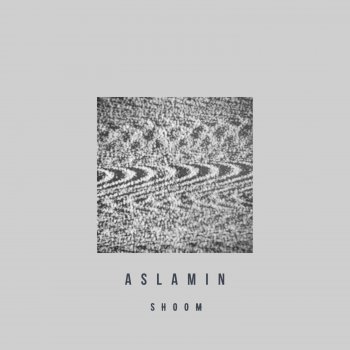 Aslamin Destroyer