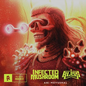 Infected Mushroom feat. Bliss Ani Mevushal