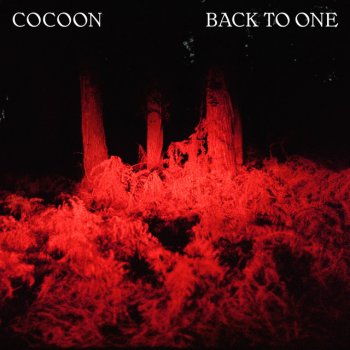 Cocoon feat. Clou Back To One