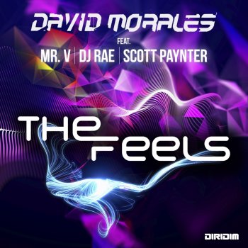 David Morales The Feels (feat. Mr. V, DJ Rae & Scott Paynter) [Instrumental Mix]