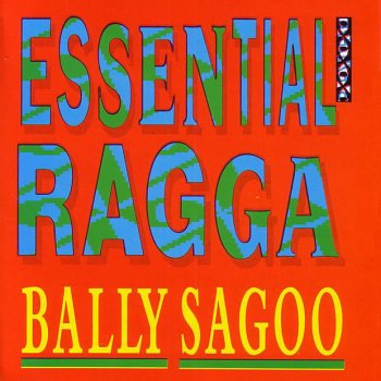 Bally Sagoo feat. Irene Perveen Saiyo Nee Mera Dil - (Dub)