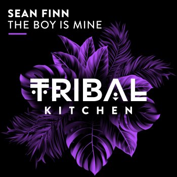 Sean Finn The Boy Is Mine