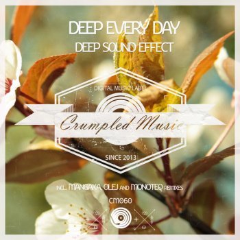 Monoteq feat. Deep Sound Effect Deep Every Day - Monoteq Remix