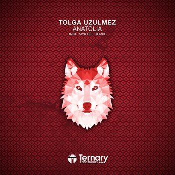 Tolga Uzulmez Anatolia - Original Mix